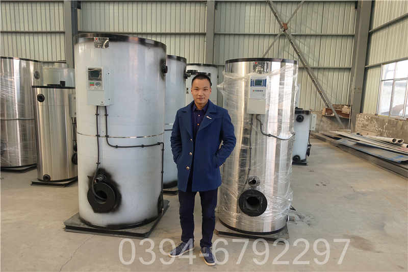 12吨柴油热水锅炉(图2)