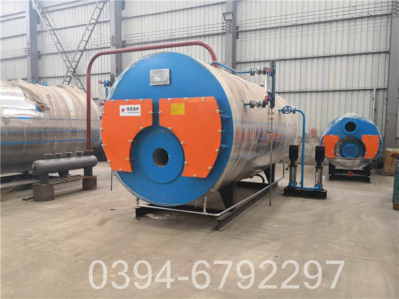 12吨冷凝天然气锅炉(图3)