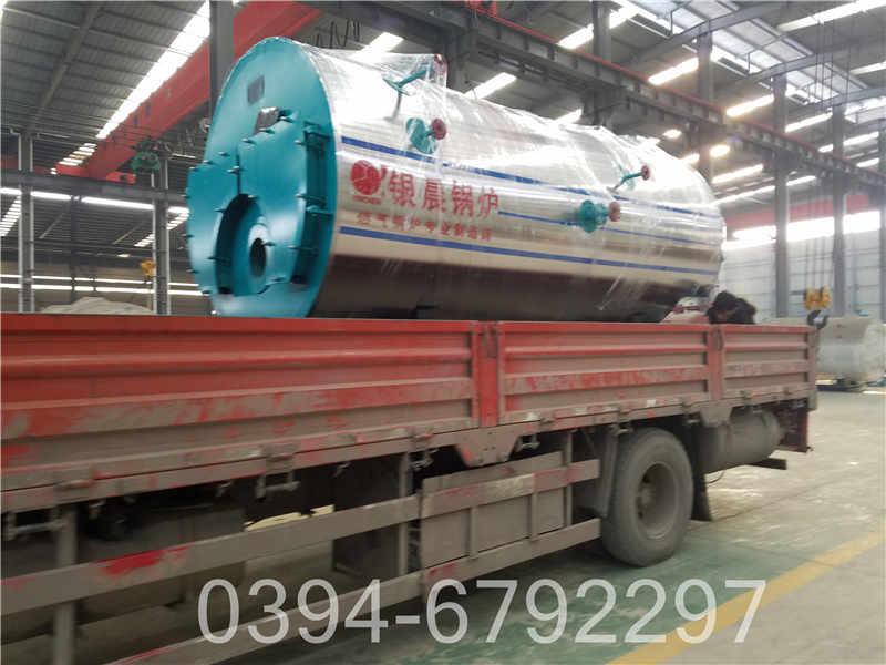 洁净蒸汽锅炉(图2)