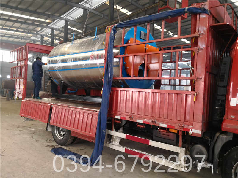 低压燃气蒸汽锅炉(图2)