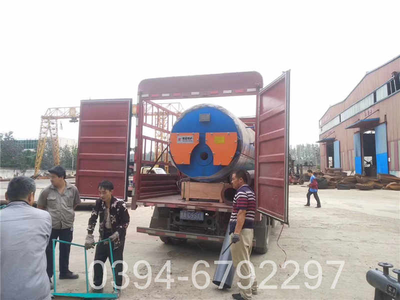 燃气气锅炉(图2)