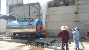 一吨低氮天然气锅炉