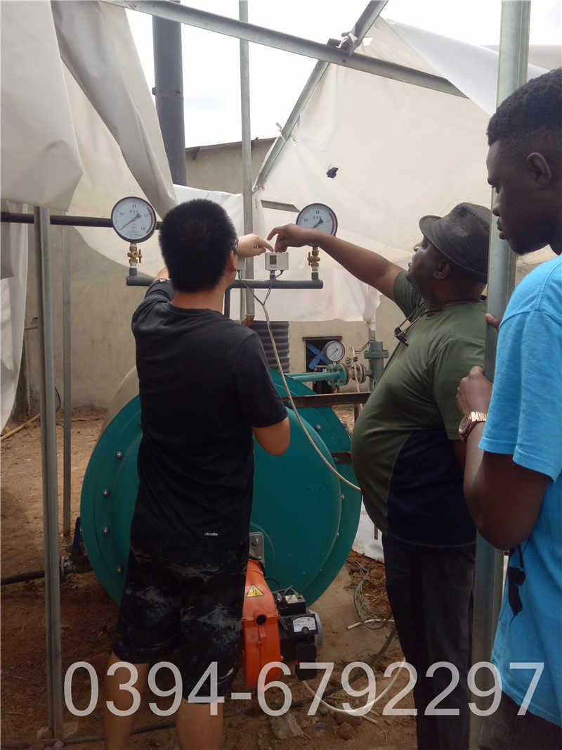 燃气蒸汽锅炉锅炉(图1)