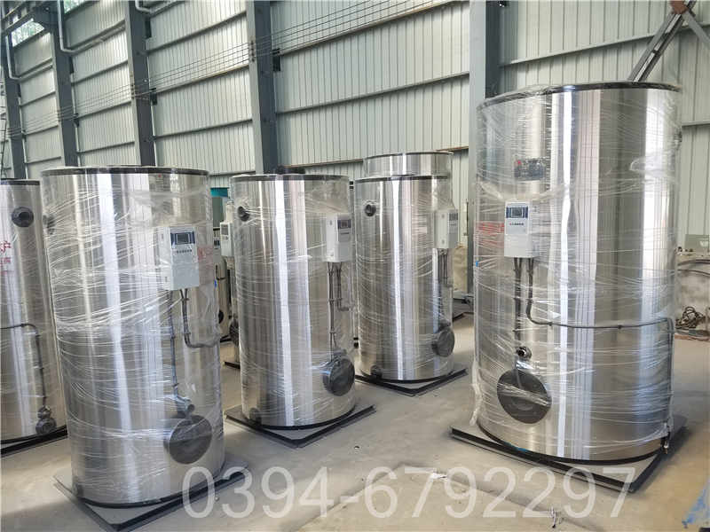 通用燃气锅炉(图2)