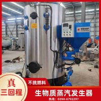 燃气锅炉燃气蒸汽锅炉