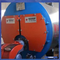 蒸汽锅炉并气12吨同行业内更稳定的