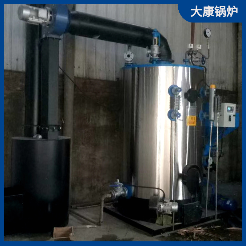 燃生物质的锅炉大康锅炉厂房取暖锅炉