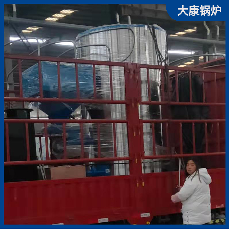 环保锅炉生物太康银晨锅炉燃气6吨热水锅炉