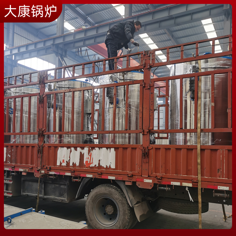 生物质智能化取暖炉鼎盛锅炉全预混燃气冷凝锅炉