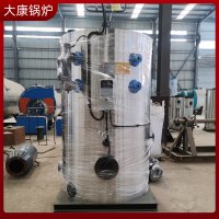 银晨锅炉公司 0.3吨液化气蒸汽发生器