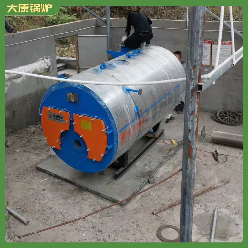 生物质锅炉12吨