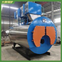 燃汽蒸汽锅炉3吨做凉皮用