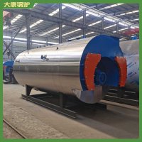 燃油锅炉控制器WNS15中国十大品牌