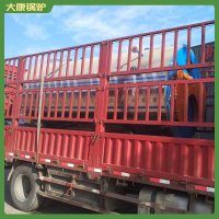十吨冷凝燃油锅炉银晨锅炉厂