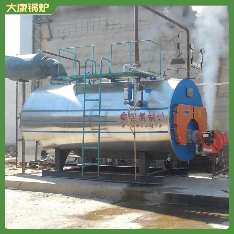 20吨导热油锅炉